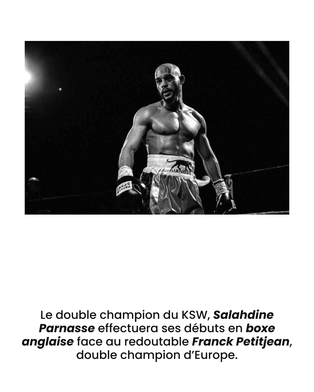 Parnasse vs Petitjean (1)